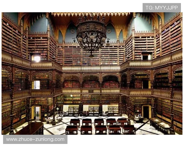 探寻尊龙D88集团的市场定位及未来发展战略