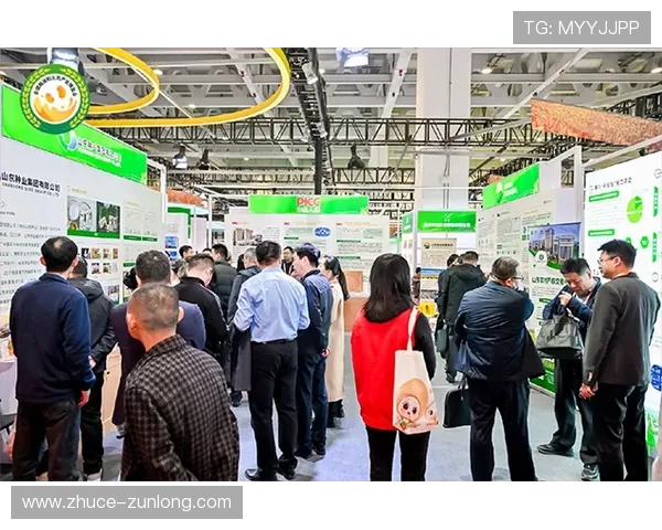 凯时首页入口:如何快速找到官方安全的凯时首页入口地址 凯时首页入口:如何快速找到官方安全的凯时首页入口地址